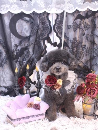 20231017コタロウくん